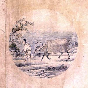 ox-herding_05-taming